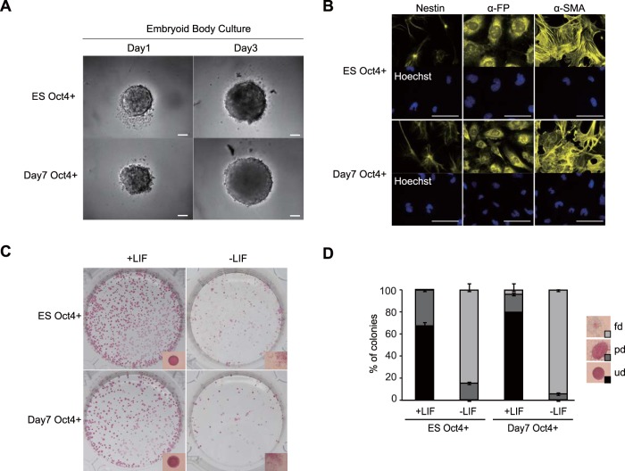 FIG 2