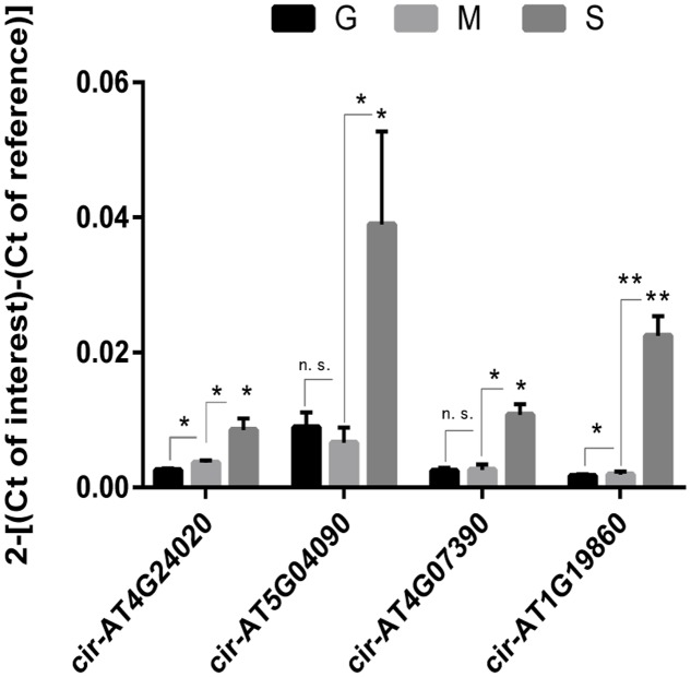 FIGURE 2