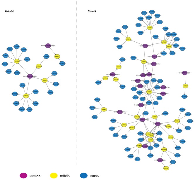 FIGURE 3