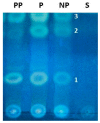 Figure 7
