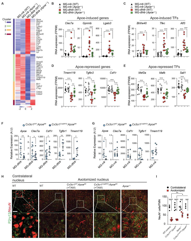 The TREM2-APOE pathway drives the transcriptional phenotype of ...