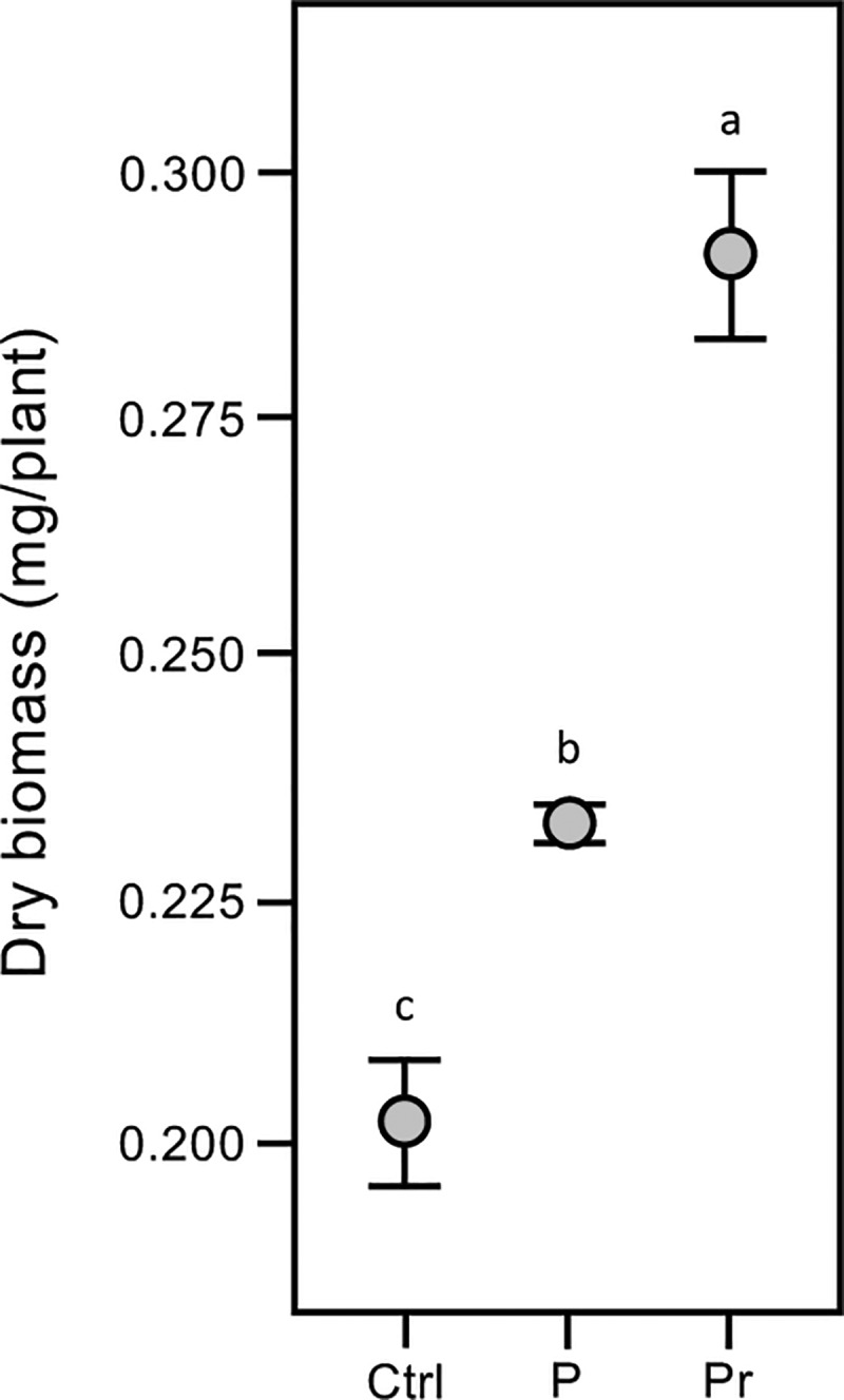 Fig 5