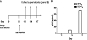 FIG 6