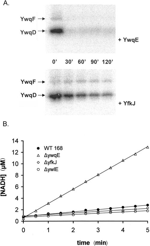 FIG. 4.