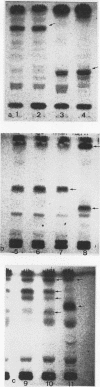 1973