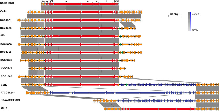 FIGURE 3