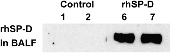 Figure 8.