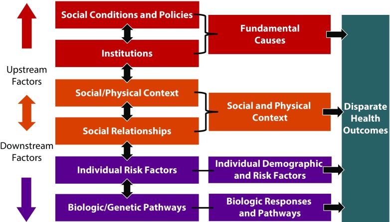 FIGURE 1—