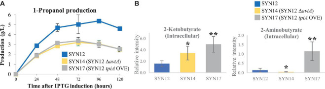 FIGURE 3