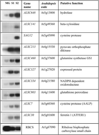 Figure 7.