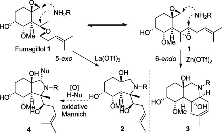 Scheme 1