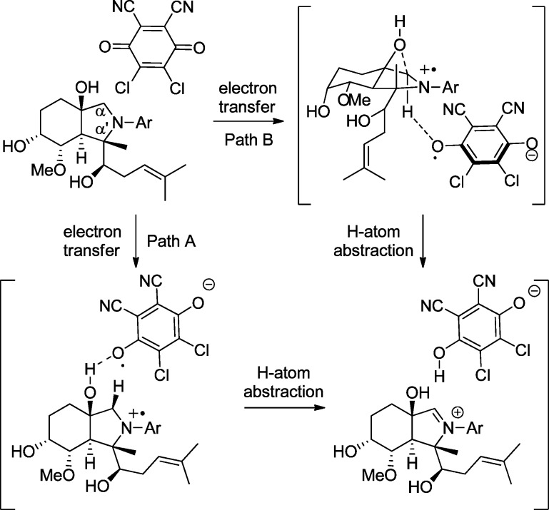 Scheme 3