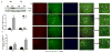 Fig 11