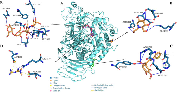 Fig. 10
