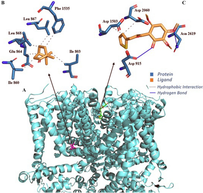 Fig. 4