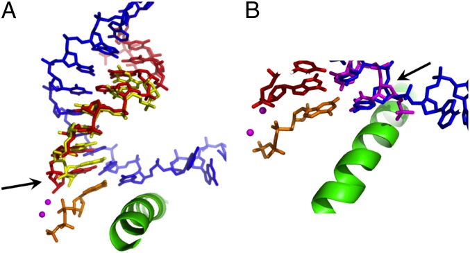 Fig. 6.