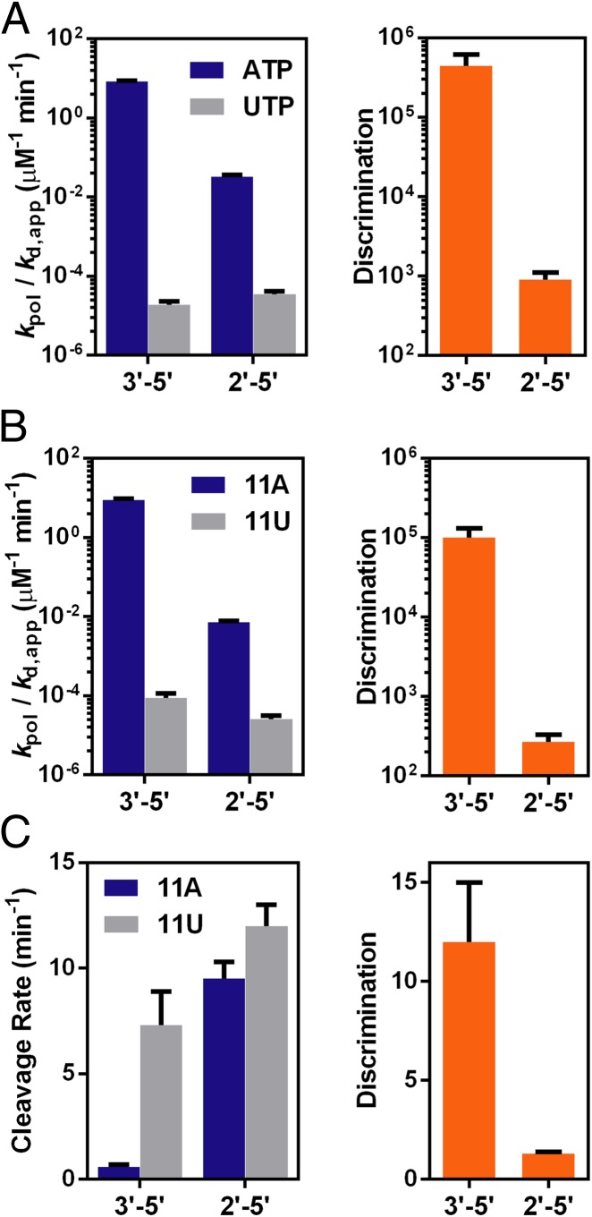 Fig. 4.