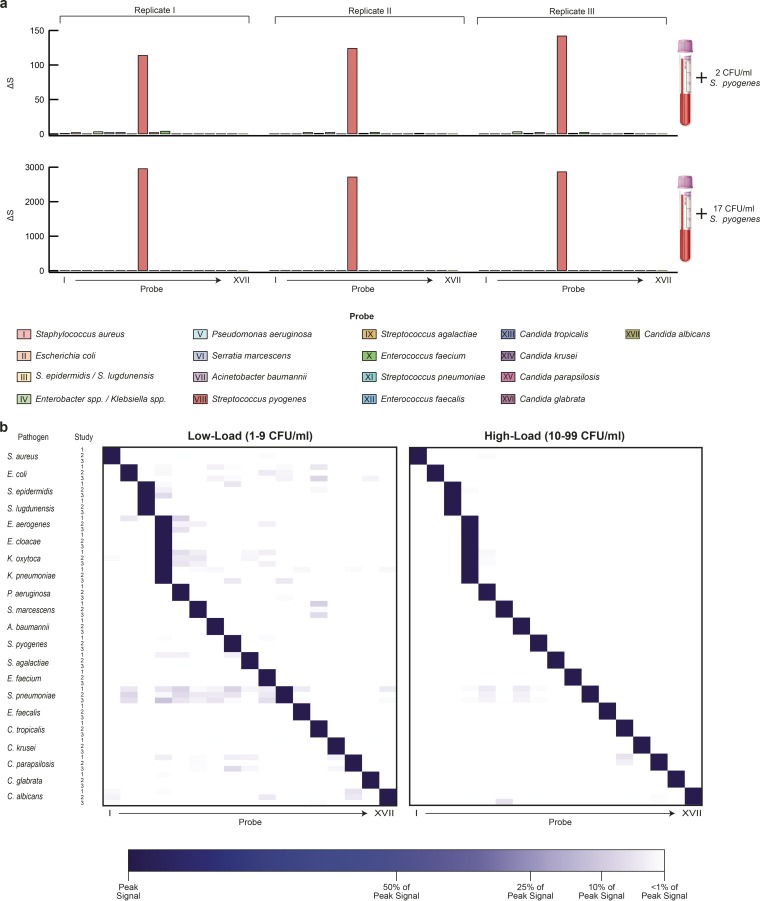 FIG 3 