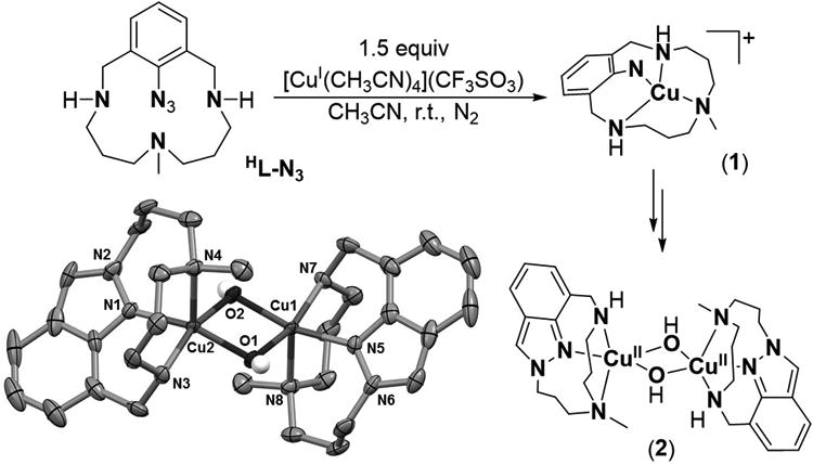 Scheme 1