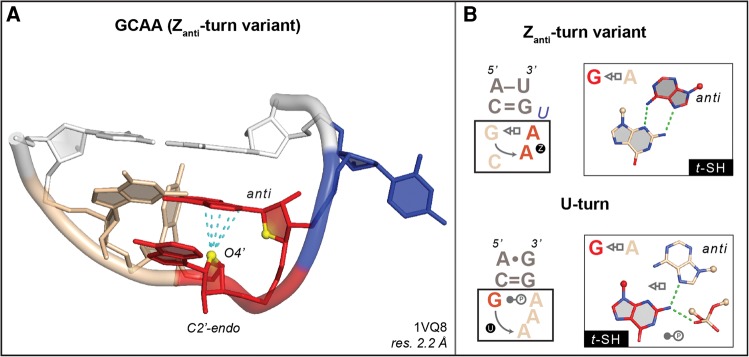 FIGURE 2.