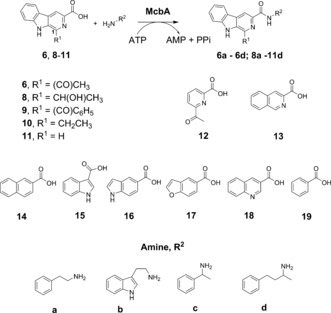 Scheme 2