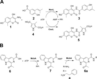 Scheme 1