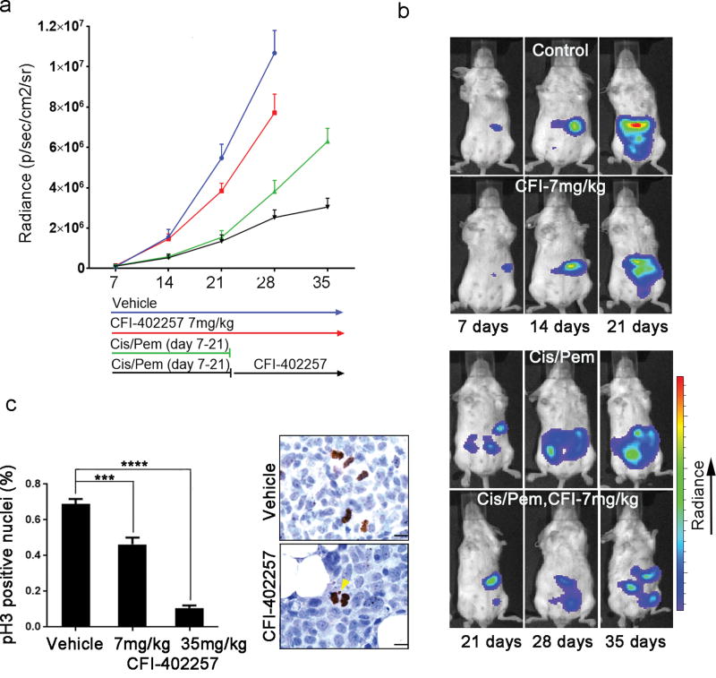 Fig.4