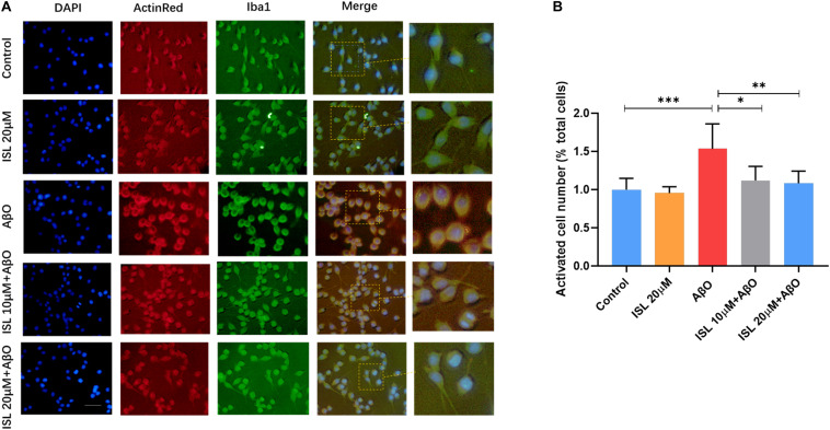 FIGURE 3