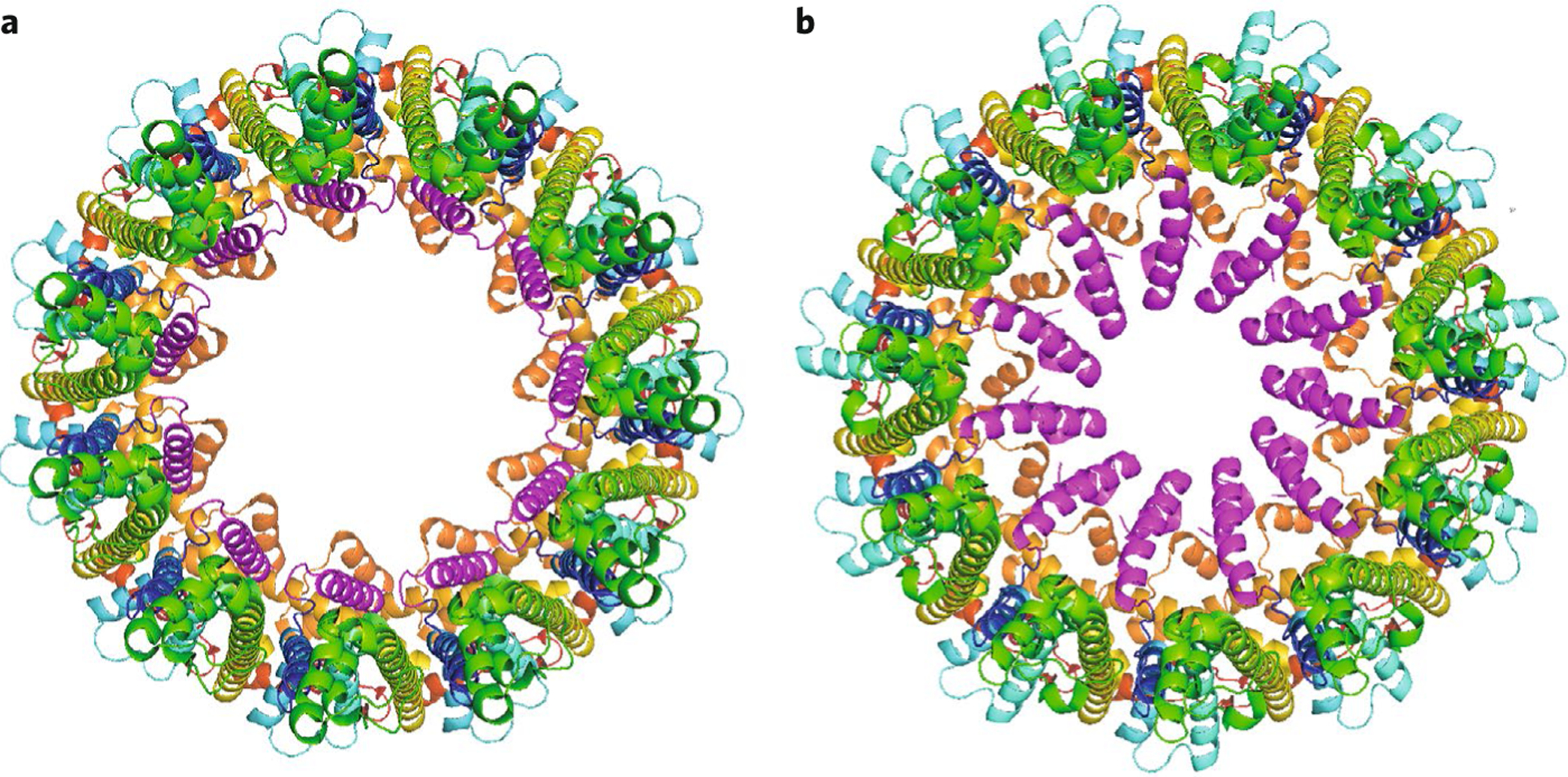 Fig. 2 |