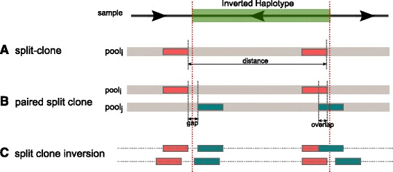 Fig. 3