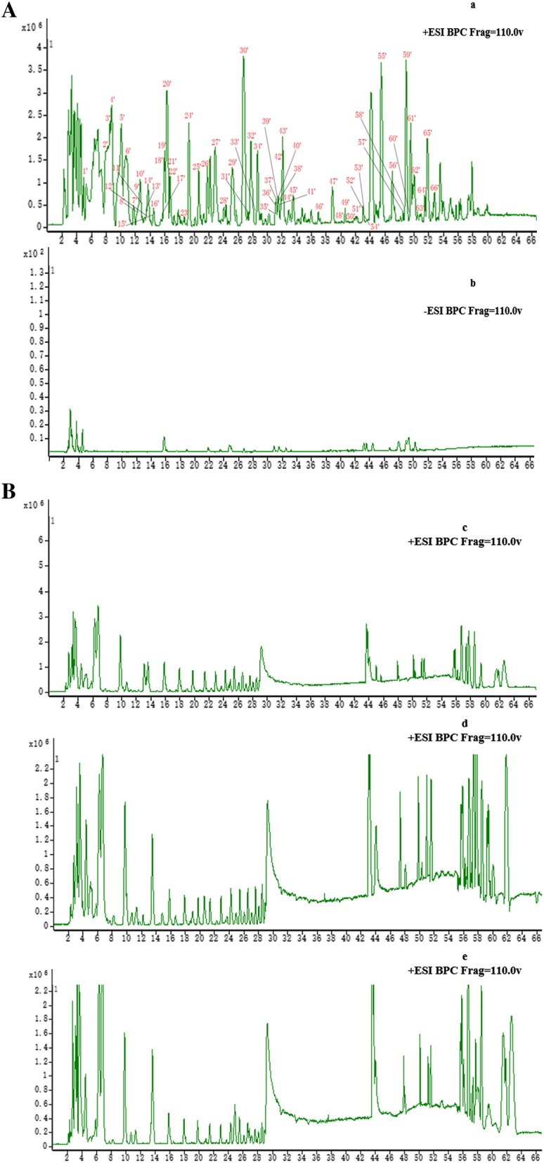 Fig. 1