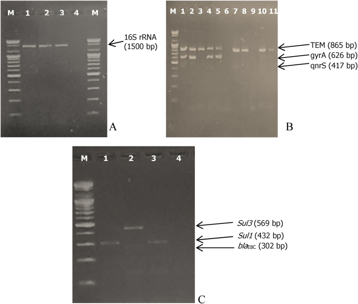 Figure 2