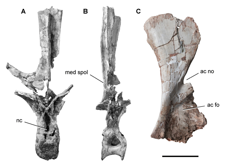 Figure 104.