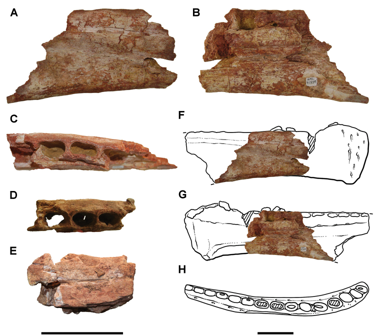 Figure 138.