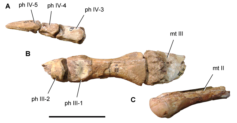 Figure 116.