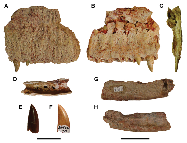 Figure 112.