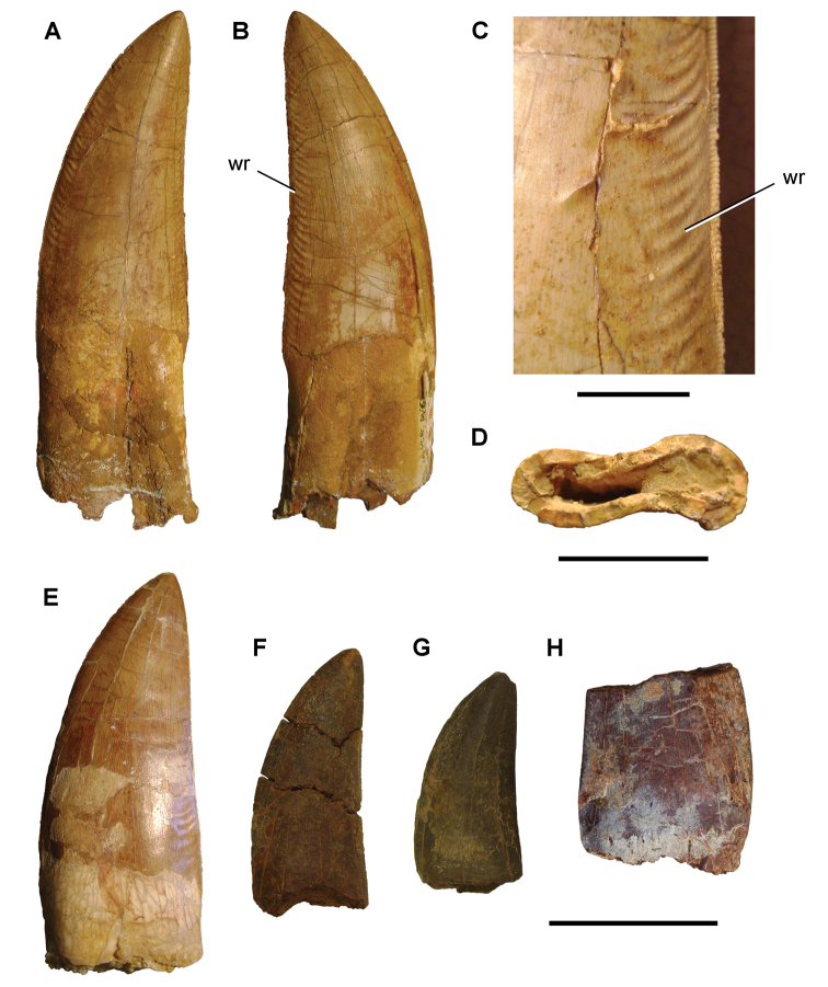 Figure 131.