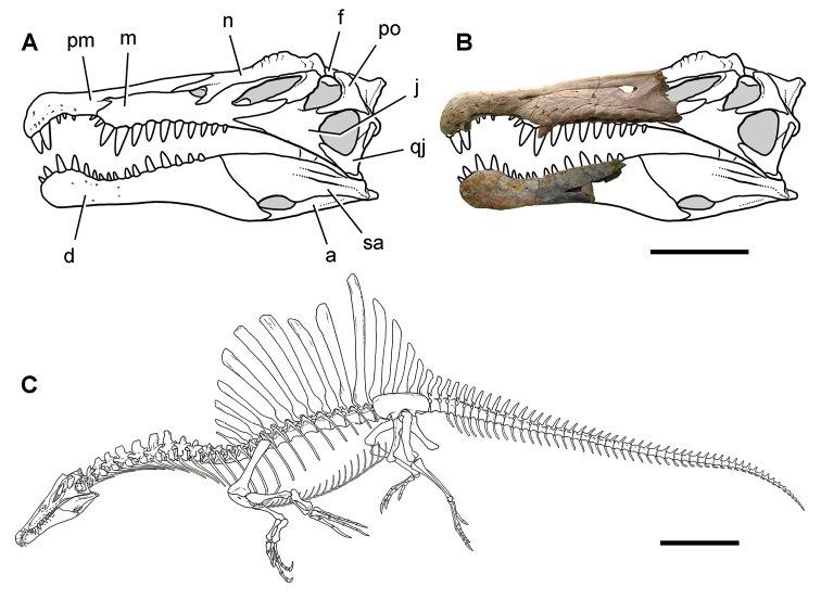 Figure 129.