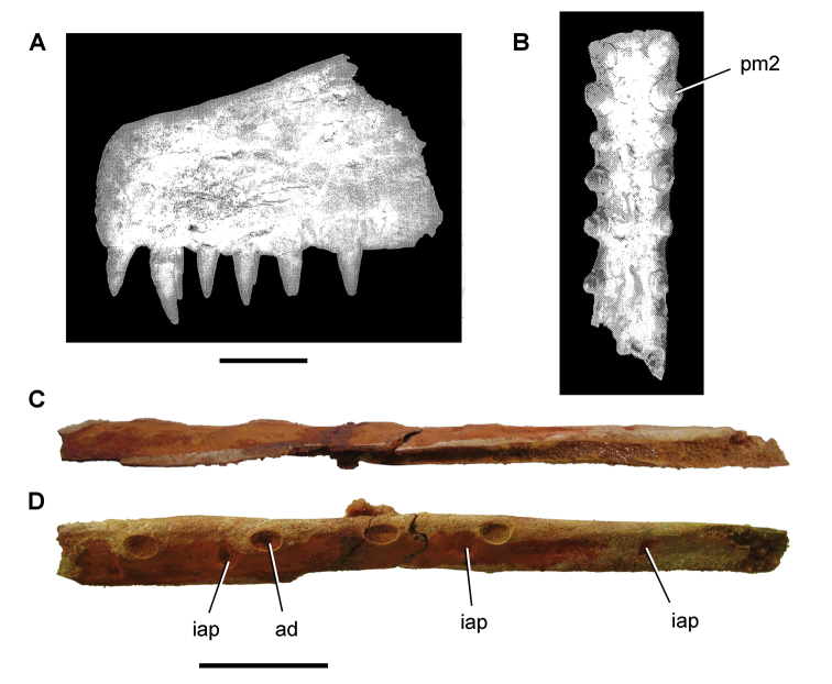 Figure 95.