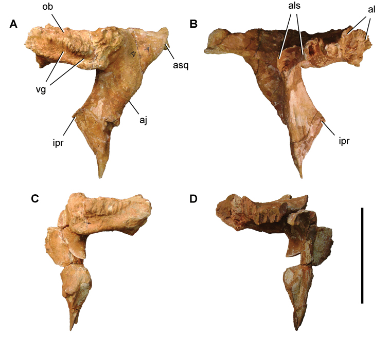 Figure 136.