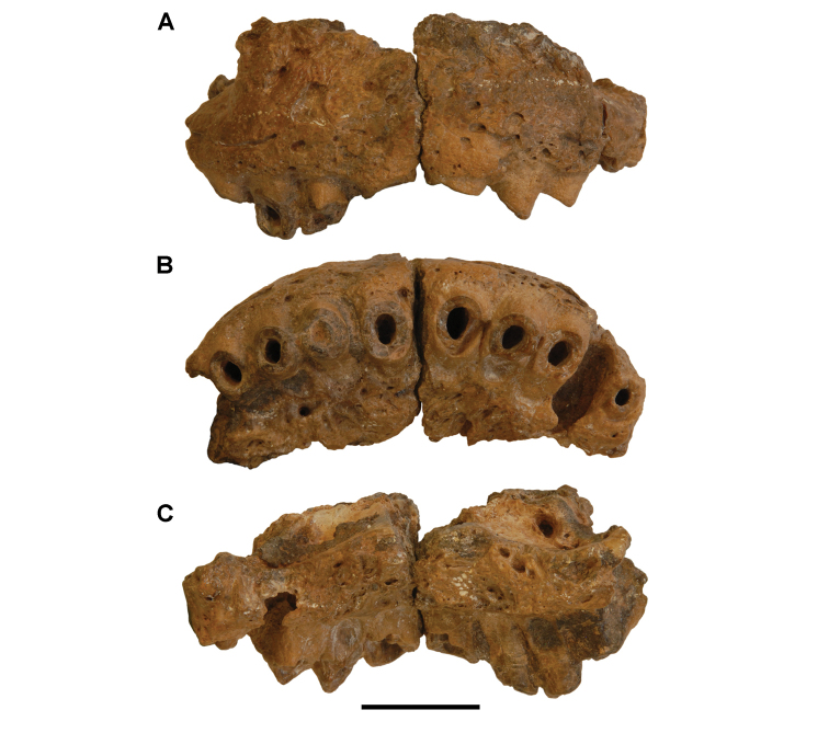 Figure 59.