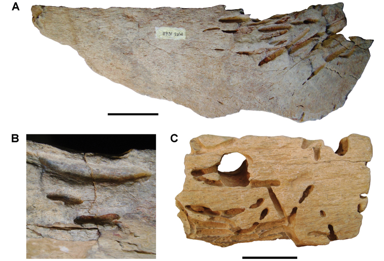 Figure 41.