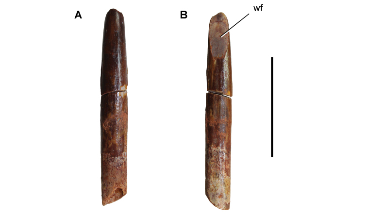 Figure 107.