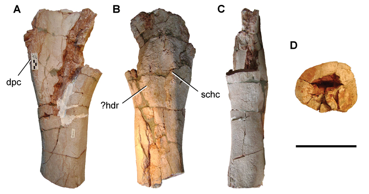 Figure 105.