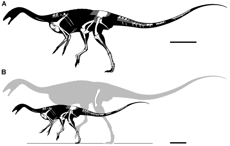 Figure 118.