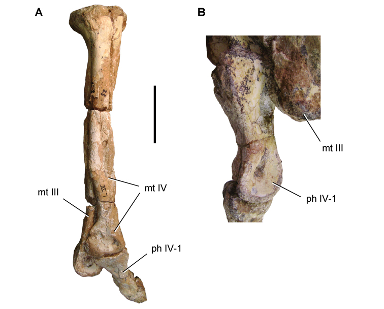 Figure 117.