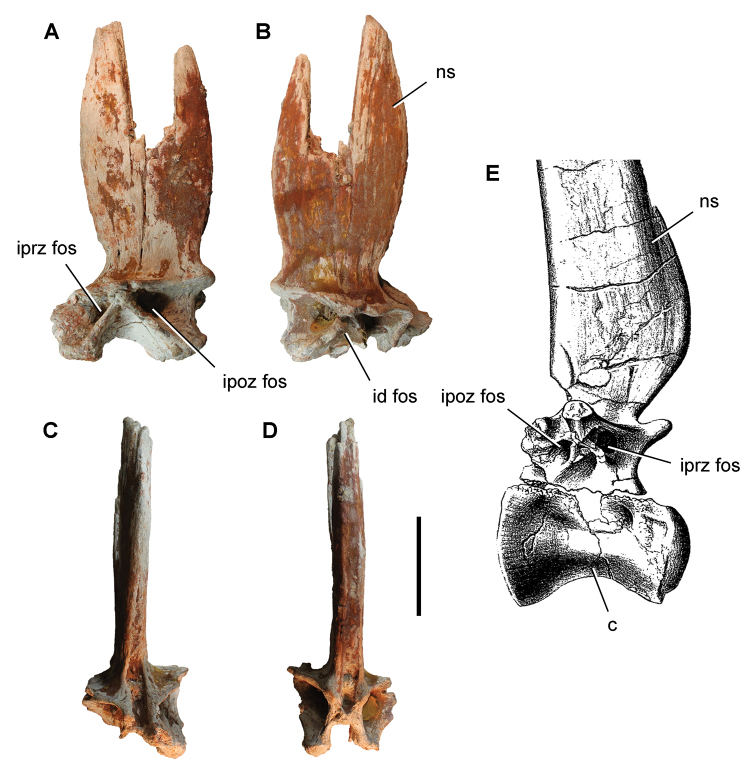 Figure 127.