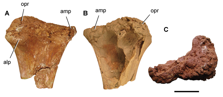 Figure 109.