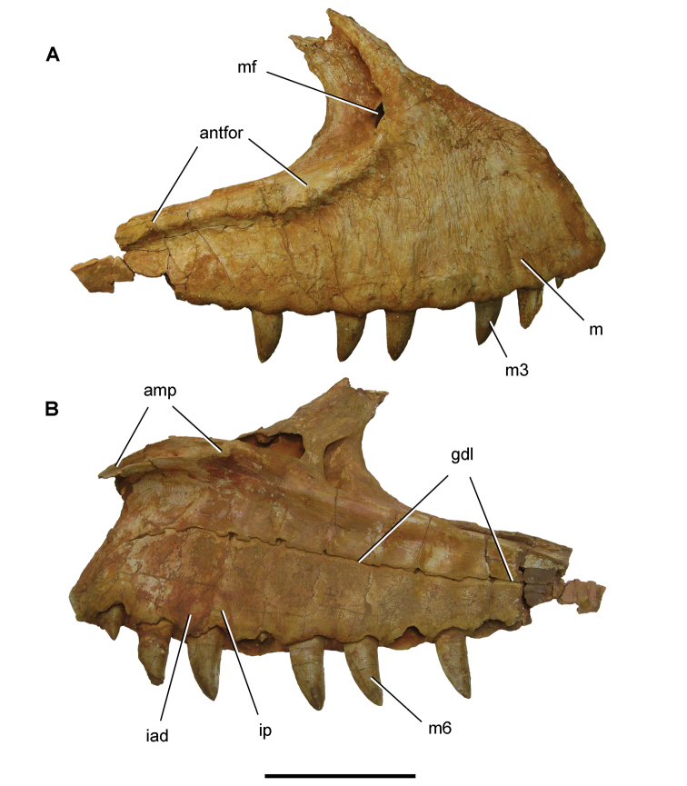 Figure 133.