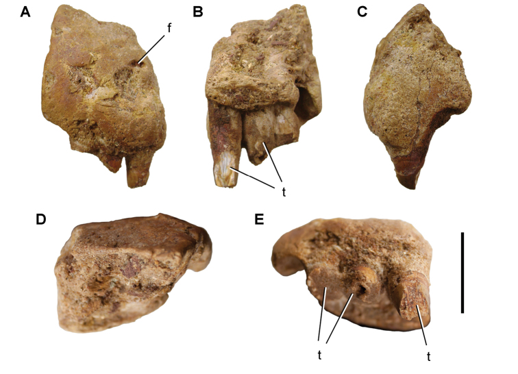 Figure 58.